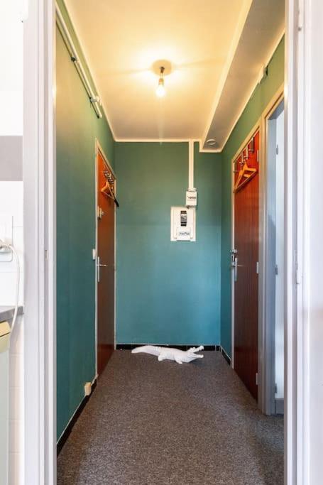 Double Appartement, Saint Michel, Parking, Wifi Тулуза Екстериор снимка